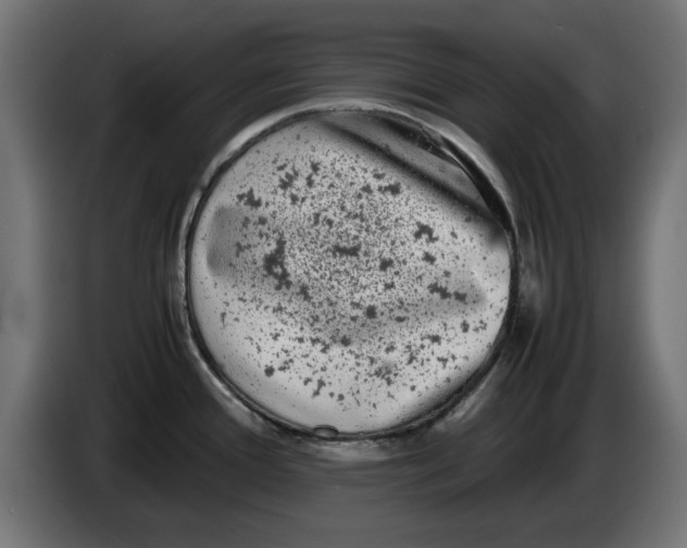 X0000086031388200704131903