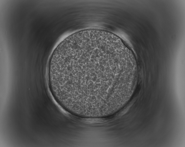 X0000086031391200704131903