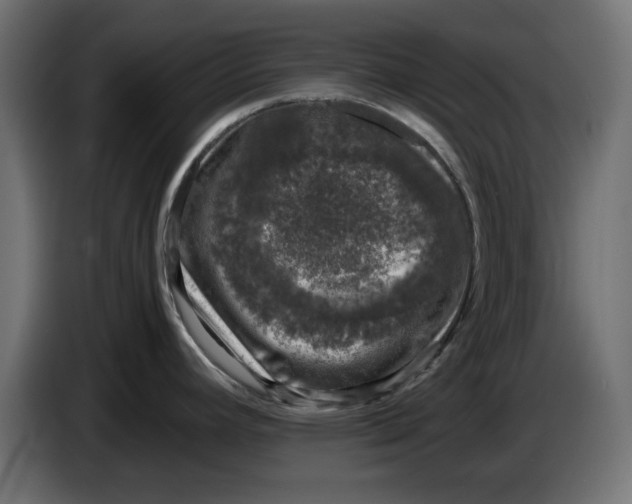 X0000086031392200704131903