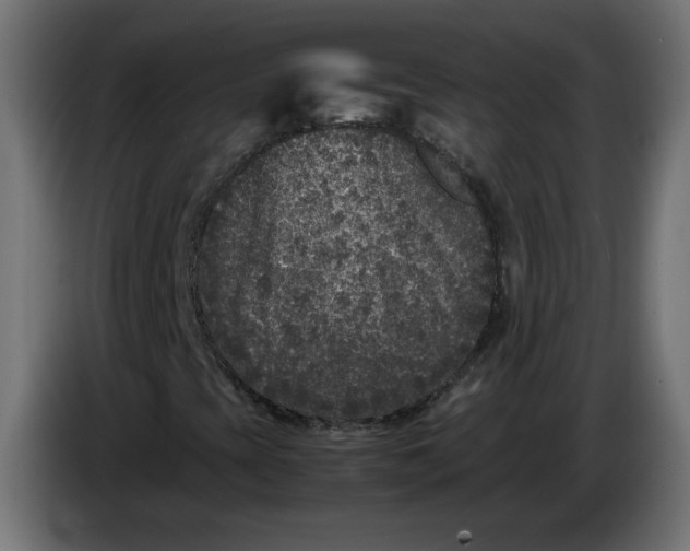 X0000086031393200704131902