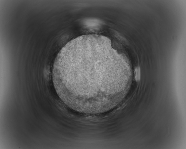 X0000086031395200704131902