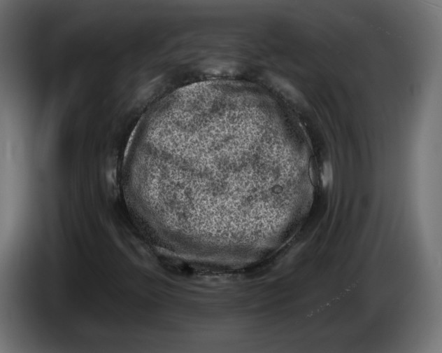 X0000086031396200704131902