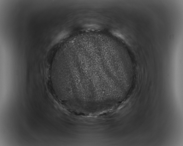 X0000086031399200704131902