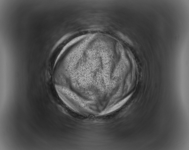 X0000086031400200704131902