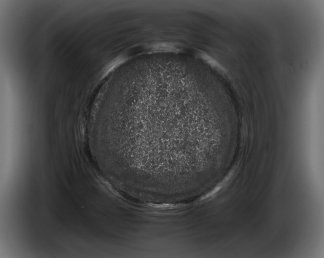 X0000086031401200704131902