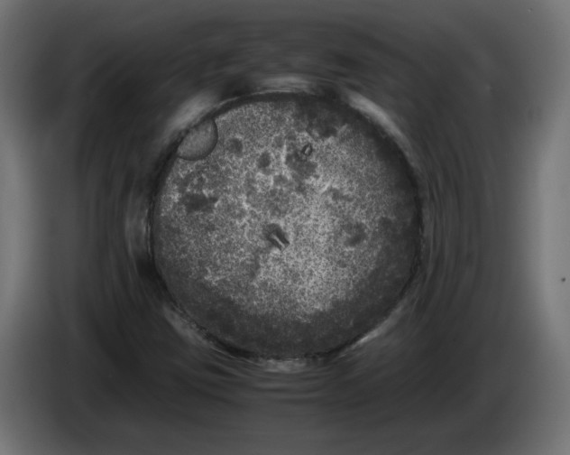 X0000086031403200704131902