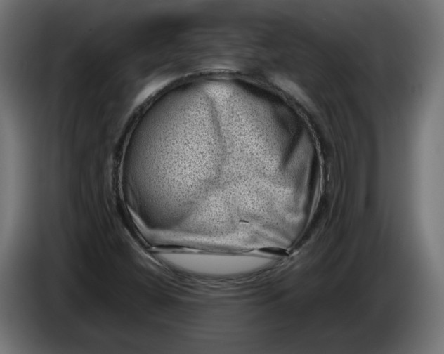 X0000086031404200704131902