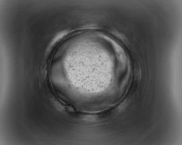 X0000086031406200704131902