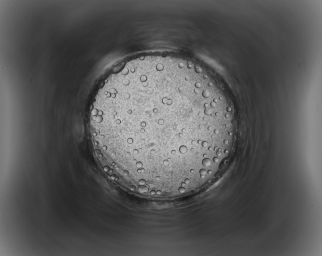 X0000086031407200704131902