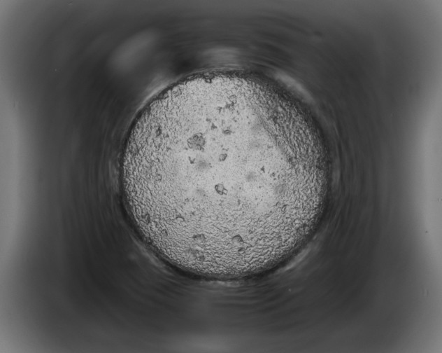 X0000086031409200704131902