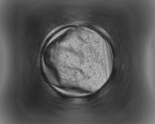 X0000086031412200704131902