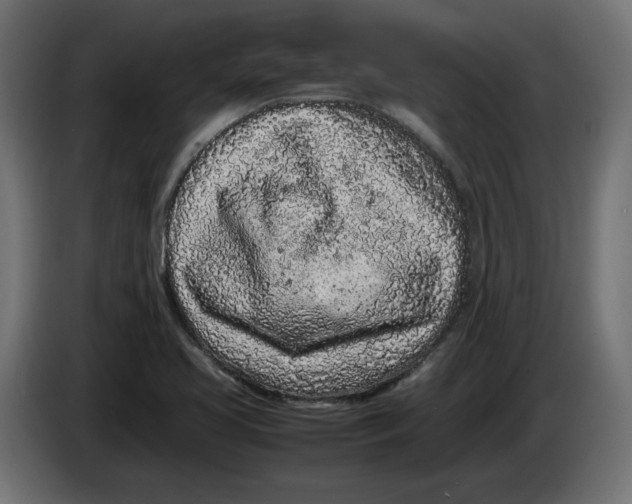 X0000086031413200704131902