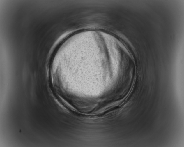 X0000086031416200704131902