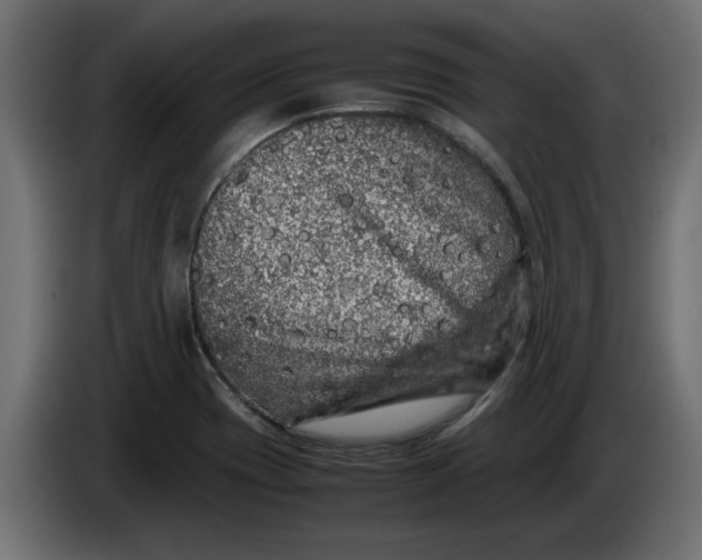 X0000086031417200704131902