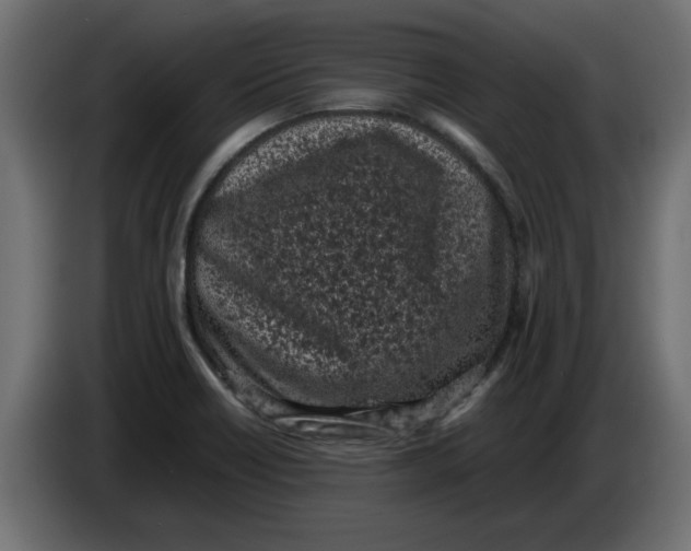 X0000086031418200704131902