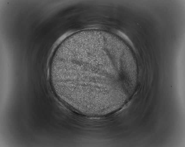 X0000086031419200704131902