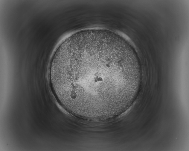 X0000086031421200704131902