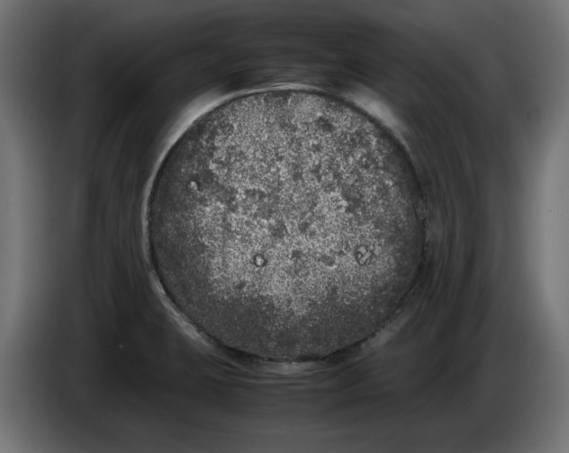 X0000086031423200704131902