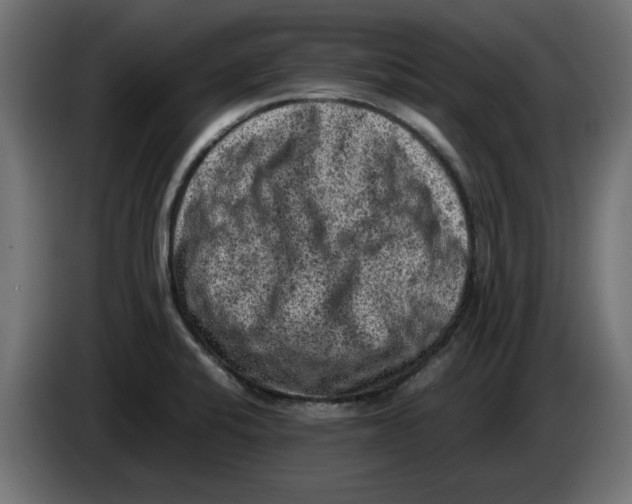 X0000086031424200704131902