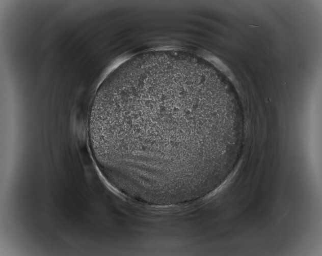 X0000086031425200704131902