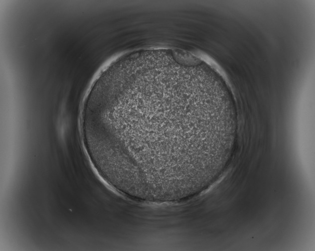 X0000086031429200704131903