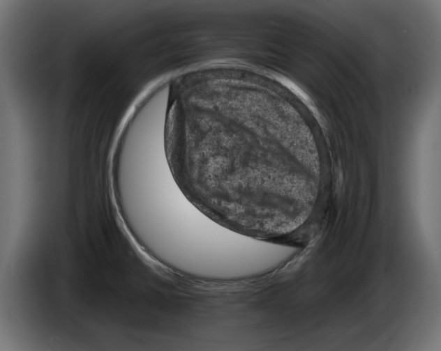 X0000086031430200704131903