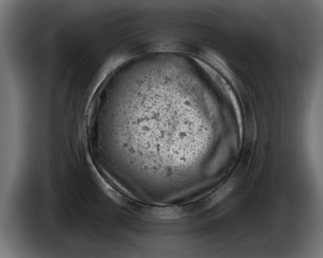 X0000086031434200704131903