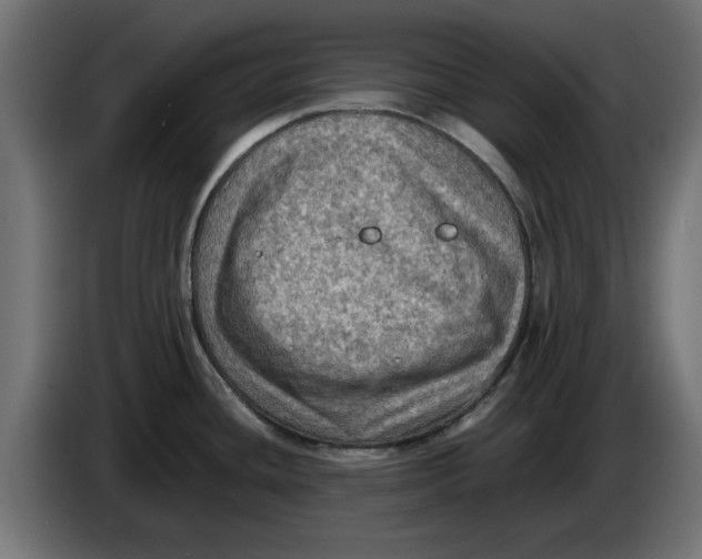 X0000086031436200704131903