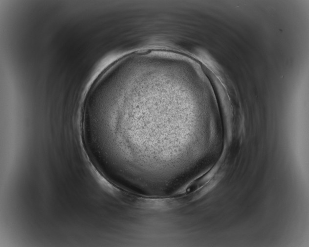 X0000086031438200704131903