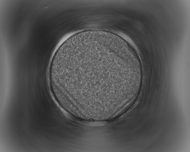 X0000086031440200704131903