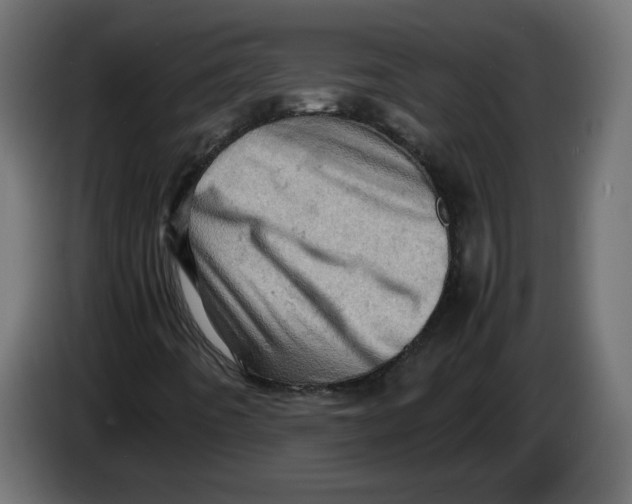 X0000086031442200704131902