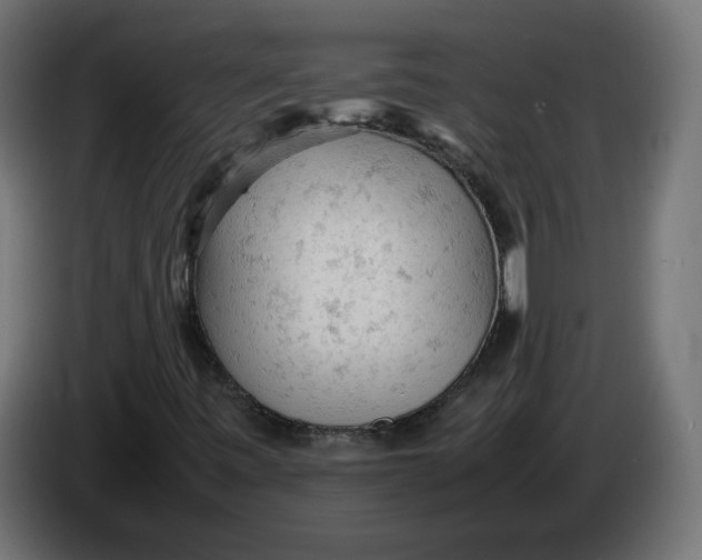 X0000086031443200704131902