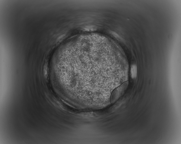 X0000086031444200704131902