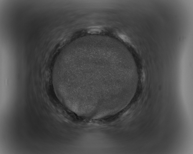 X0000086031445200704131902