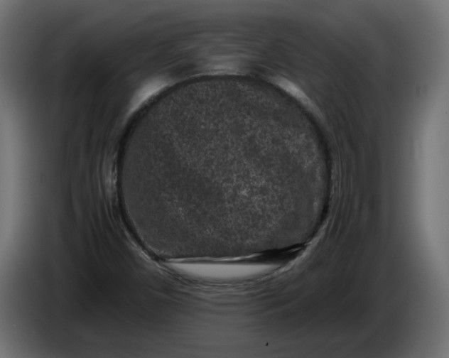 X0000086031450200704131902