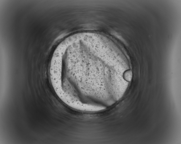 X0000086031451200704131902