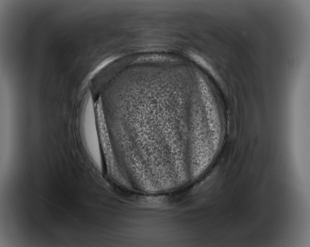 X0000086031453200704131902