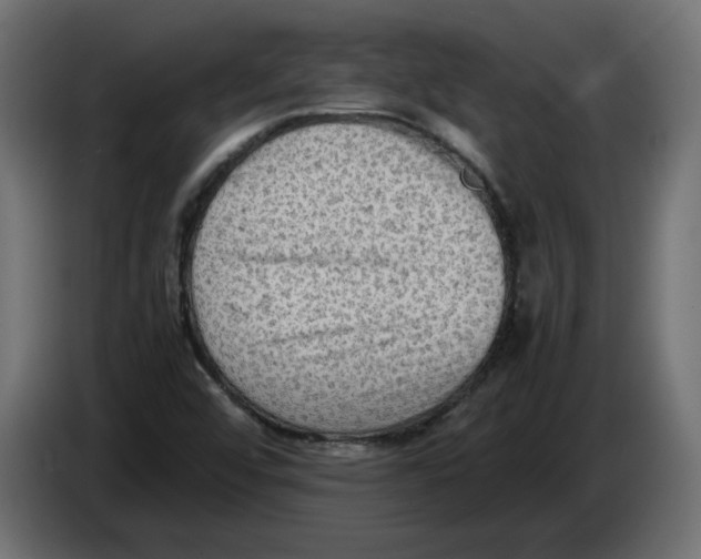 X0000086031456200704131902