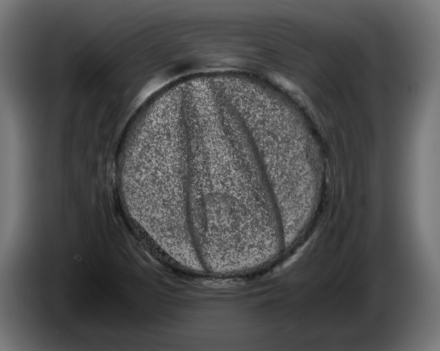 X0000086031457200704131902