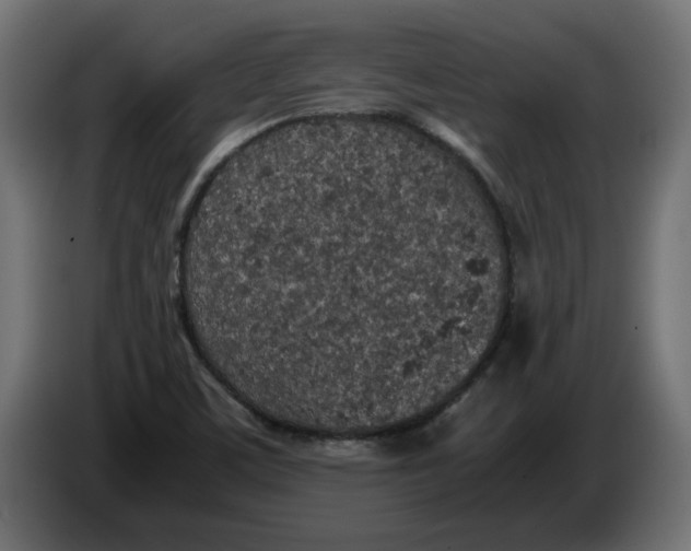 X0000086031459200704131902