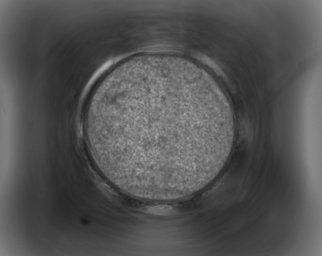 X0000086031462200704131902