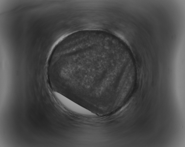 X0000086031463200704131902