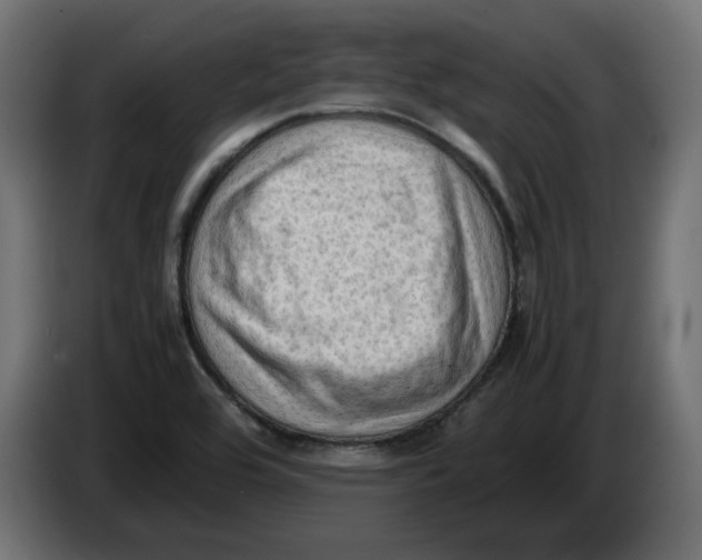 X0000086031464200704131902