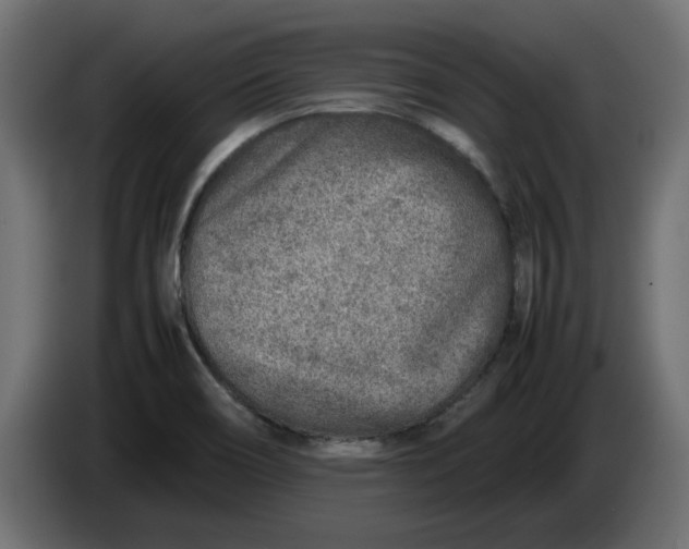 X0000086031466200704131901