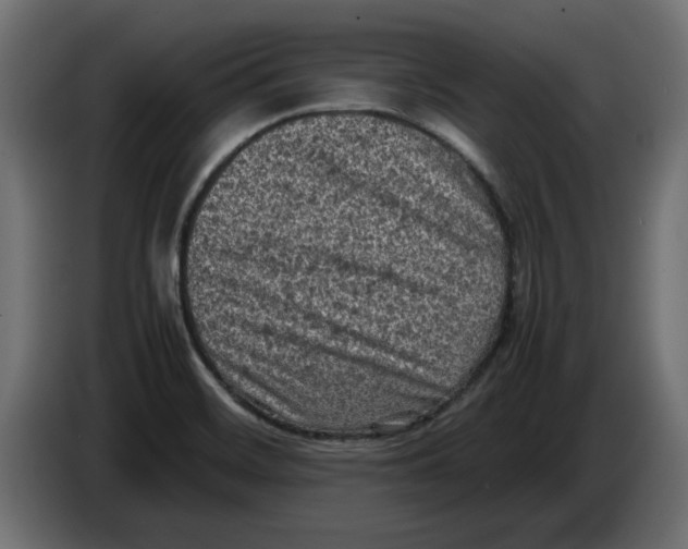 X0000086031468200704131901