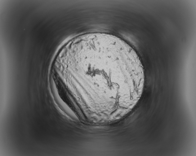 X0000086031471200704131901