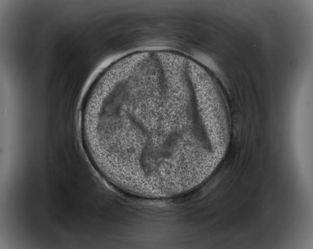 X0000086031472200704131901