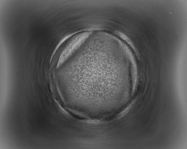 X0000086031473200704131901