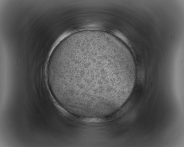 X0000086031474200704131901