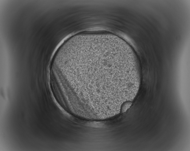 X0000086031476200704131901